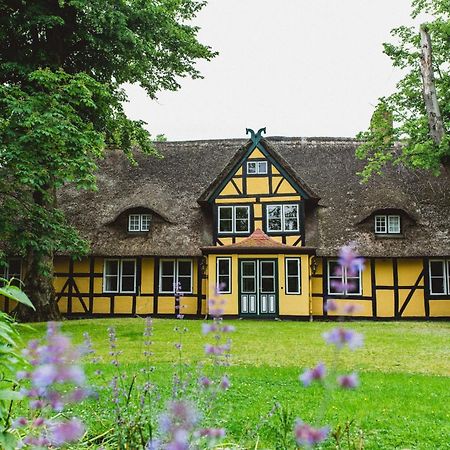 Herrenhaus Gut Dorotheenthal Damp Exterior photo
